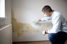 Mold Odor Removal Services in Fairfax, OH